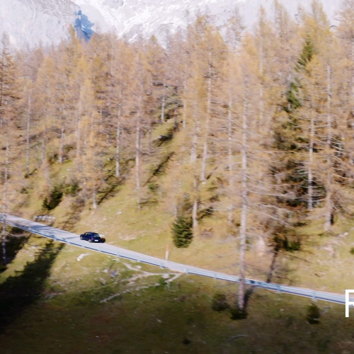 Ringhofer Garage Wald